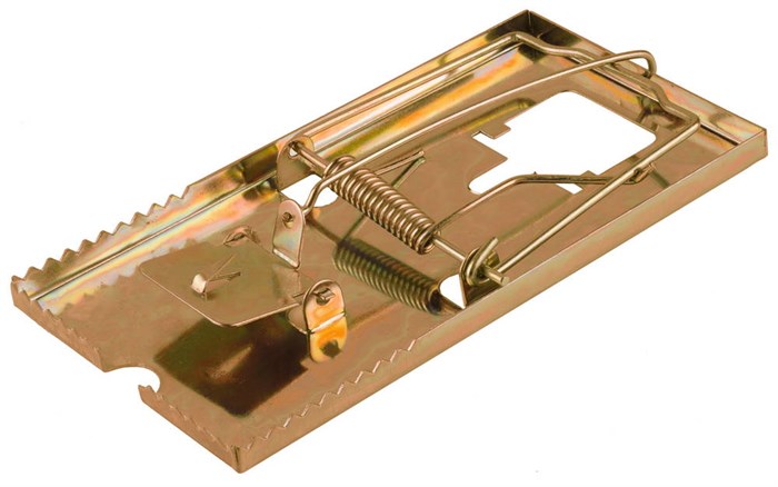 STAYER 155 х 85 мм, с металлическим основанием, крысоловка (40490-L) 00031041