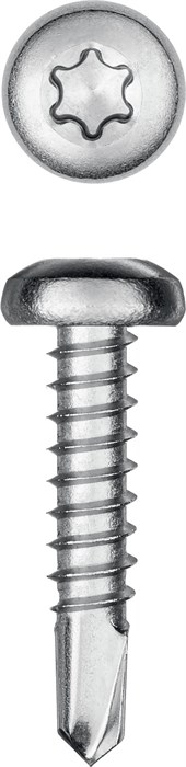 KRAFTOOL DS-P, 19 х 3.9 мм, А2, сверло, полукруглая головка, ТХ15, 750 шт, саморез нержавеющий (300931-39-019) 00015117152