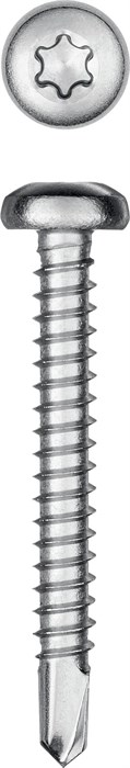 KRAFTOOL DS-P, 38 х 4.8 мм, А2, сверло, полукруглая головка, ТХ25, 200 шт, саморез нержавеющий (300931-48-038) 00015117163
