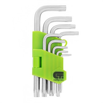 {{productViewItem.photos[photoViewList.activeNavIndex].Alt || productViewItem.photos[photoViewList.activeNavIndex].Description || 'Набор ключей имбусовых Tamper-Torx , 9 шт: ТT10-ТT50.45x, закаленные, короткие, никель Сибртех'}}