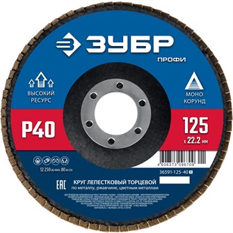 {{productViewItem.photos[photoViewList.activeNavIndex].Alt || productViewItem.photos[photoViewList.activeNavIndex].Description || 'ЗУБР 125 х 22.2 мм, P40, КЛТ, Круг лепестковый торцевой (36591-125-40)'}}