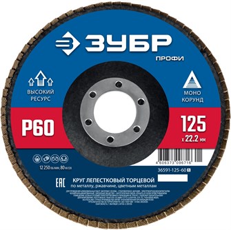 {{productViewItem.photos[photoViewList.activeNavIndex].Alt || productViewItem.photos[photoViewList.activeNavIndex].Description || 'ЗУБР 125 х 22.2 мм, P60, КЛТ, Круг лепестковый торцевой (36591-125-60)'}}