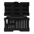 Набор бит TORX, хвостовик-шестигранник, 10 мм, CrV, 15 предметов Stels 14613