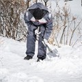 Лопата универсальная алюминиевая, 205 х 280 х 640 мм, пластиковый черенок, Сибртех 18271