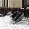 Лопата для уборки снега пластиковая Profi, 550 х 415 х 1405 мм, алюминиевый черенок, Palisad 18665