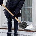 Лопата для уборки снега пластиковая, 350 х 350 мм, без черенка, Сибртех 18679
