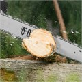 Пила цепная электрическая EDS-2200, 2.2 кВт,продольная, шина 45 см, шаг 3/8, паз 1.3 мм, 62 звена Denzel 24069