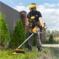 Триммер бензиновый DT 52, 52 см3, 3 л. с, неразъемная штанга, состоит из 2 частей Denzel 31599