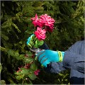 Перчатки садовые с удлиненной манжетой, размер 9, Luxe Palisad 33417