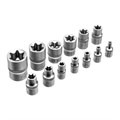 Набор инструментов, 1/2", 3/8", 1/4", пластиковый кейс 172 предм. Сибртех 35562