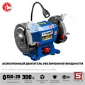 ЗУБР d 150, 300 Вт, заточной станок, Профессионал (ПСТ-150) 00012456
