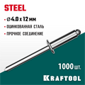 KRAFTOOL Steel, 4.0 x 12 мм, 1000 шт, стальные заклепки (311703-40-12) 00019399