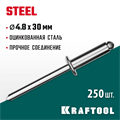KRAFTOOL Steel, 4.8 x 30 мм, 250 шт, стальные заклепки (311703-48-30) 00019406