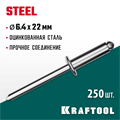 KRAFTOOL Steel, 6.4 x 22 мм, 250 шт, стальные заклепки (311703-64-22) 00019408