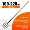 GRINDA 180 х 220 х 1300 мм, четырёхрогие, кованные зубья, антикор. покрытие, деревянный черенок высш. сорт, вилы копальные кованые (39722) 00025223