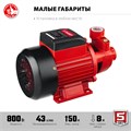 ЗУБР 800 Вт , поверхностный вихревой насос, корпус из чугуна (НС-М1-800-Ч) 0003307039