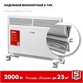 ЗУБР М серия 2 кВт, электрический конвектор (КЭМ-2000) 0005247460
