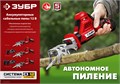 ЗУБР С1-12, 12 В, 80 мм, 2 АКБ (2 А·ч), сабельная пила (СПЛ-125-22) 0005437910