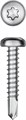 KRAFTOOL DS-P, 25 х 3.9 мм, А2, сверло, полукруглая головка, ТХ15, 500 шт, саморез нержавеющий (300931-39-025) 00015117153