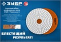 ЗУБР 100 мм, №200, сухое шлифование, алмазный гибкий шлифовальный круг АГШК, Профессионал (29868-200) 00016691969