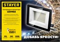 STAYER LED-MAX, 50 Вт, 6500K, IP 65, светодиодный прожектор (57131-50) 00021769572