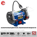 ЗУБР d 125, 200 Вт, заточной станок, Профессионал (ПСТ-125) 00012455