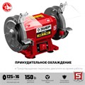 ЗУБР d 125 мм, 150 Вт, заточной станок (СТ-125) 00012458