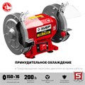 ЗУБР d 150 мм, 200 Вт, заточной станок (СТ-150) 00012459