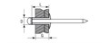 KRAFTOOL Inox, 4.0 x 10 мм, 1000 шт, нержавеющие заклепки (311705-40-10) 00019306