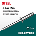 KRAFTOOL Steel, 6.4 x 12 мм, 250 шт, стальные заклепки (311703-64-12) 00019407