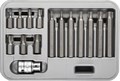 ЗУБР Torx, 15 шт, специальные биты (2651-H15) 00020865