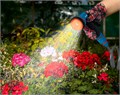 GRINDA спиральный шланг 3/8″ x 15 м, пистолет-распылитель, адаптеры, поливочный набор, PROLine (428495) 00024710