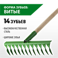 РОСТОК 430 x 100 x 1300 мм, 14 витых зубьев, рабочая поверхность из стали, покрытие краска, черенок деревянный высш. сорт, грабли (421900-14) 00025226