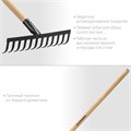 GRINDA GT-12 WOOD, 310 х 80 х 1300 мм, 12 прямых зубцов, углерод. сталь, антикор. покрытие, черенок дерев. высш. сорт, садовые грабли (39583-12) 000187060