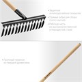 GRINDA GS-14 WOOD, 445 х 95 х 1300 мм, 14 витых зубцов, углеродистая сталь, антикор. покрытие, черенок дерев. высш. сорт, садовые грабли(39581-14) 000256430