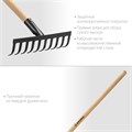 GRINDA GT-10 WOOD, 260 х 80 х 1300 мм, 10 прямых зубцов, углерод. сталь, антикор. покрытие, черенок дерев. высш. сорт, садовые грабли (39583-10) 000487624