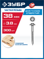 ЗУБР 38 х 3.8 мм, частая резьба, ТХ20, цинк, 300 шт, саморез для глухих отверстий, Профессионал (30082-38-038) 0008495768