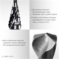 STAYER Pro-Max 4-20мм, 9 ступеней, винтовая спираль, сверло ступенчатое (29661-4-20-9) 00031316418