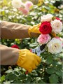 GRINDA ROSE, M (8), кожаные садовые перчатки для колючих кустарников с увеличенной крагой, усиленная ладонь и кончики пальцев, PRO Line (11303-M) 00047978858